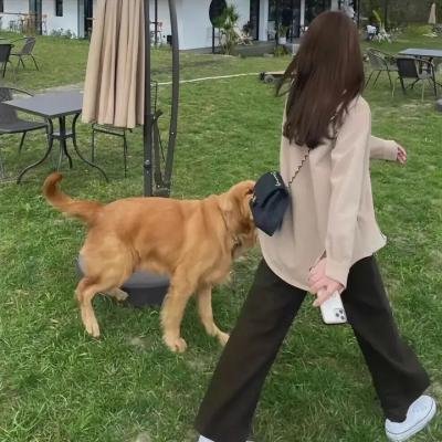 姊妹艳传